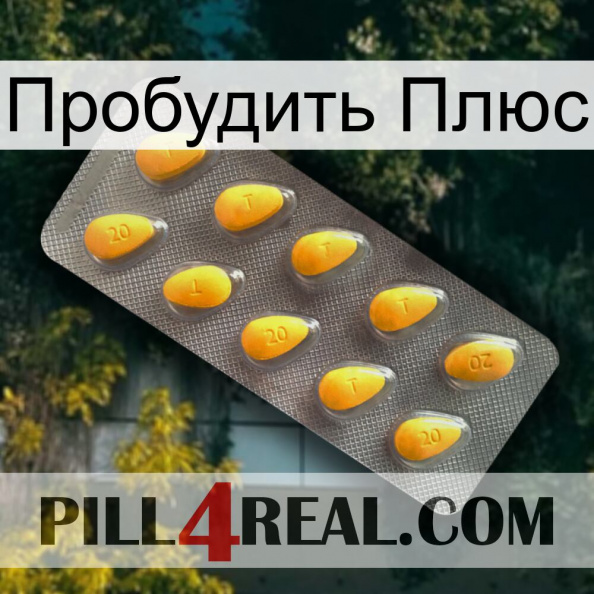 Пробудить Плюс cialis1.jpg